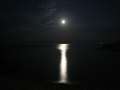 IMG_2018 - 640 x 480 - 18175 Bytes