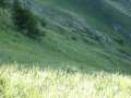 IMG_2538 - 640 x 480 - 52641 Bytes