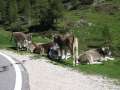 IMG_4113 - 640 x 480 - 58736 Bytes