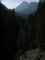 IMG_4217 - 480 x 640 - 28195 Bytes