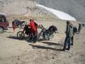 IMG_5308 - 640 x 480 - 64186 Bytes