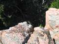 IMG_6024 - 640 x 480 - 57880 Bytes