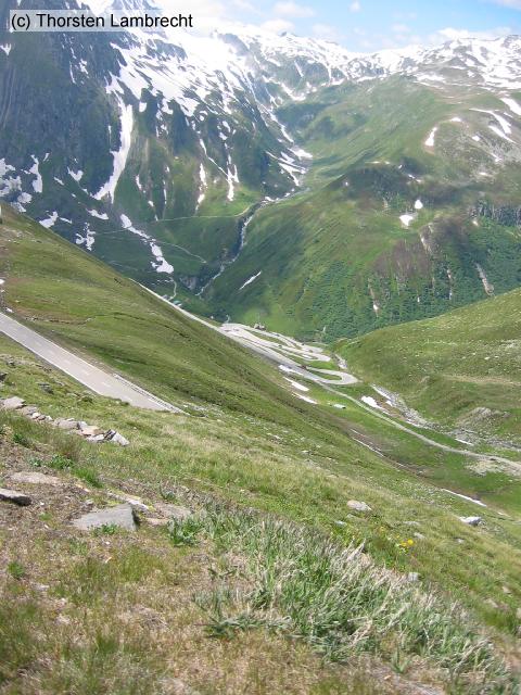 IMG_2503